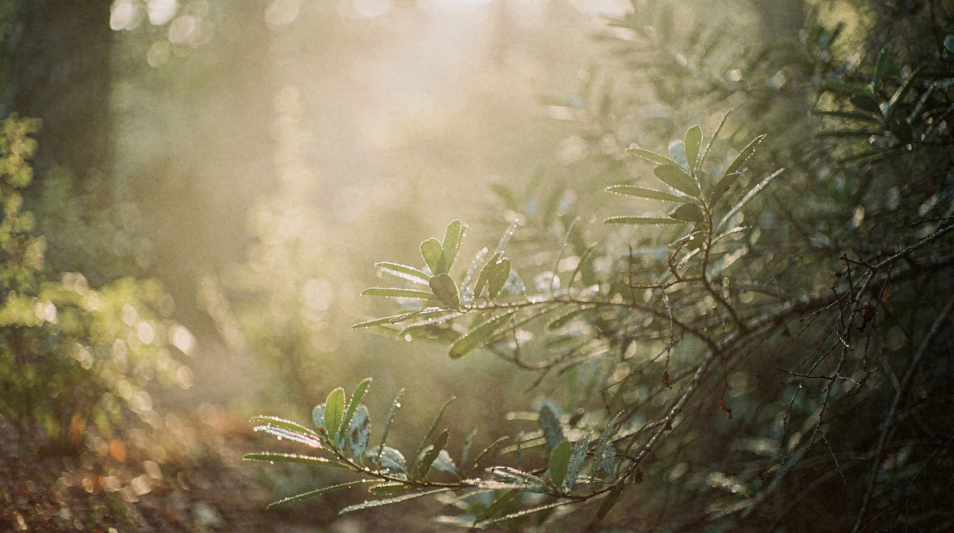 DRIFT — Slow Outdoors